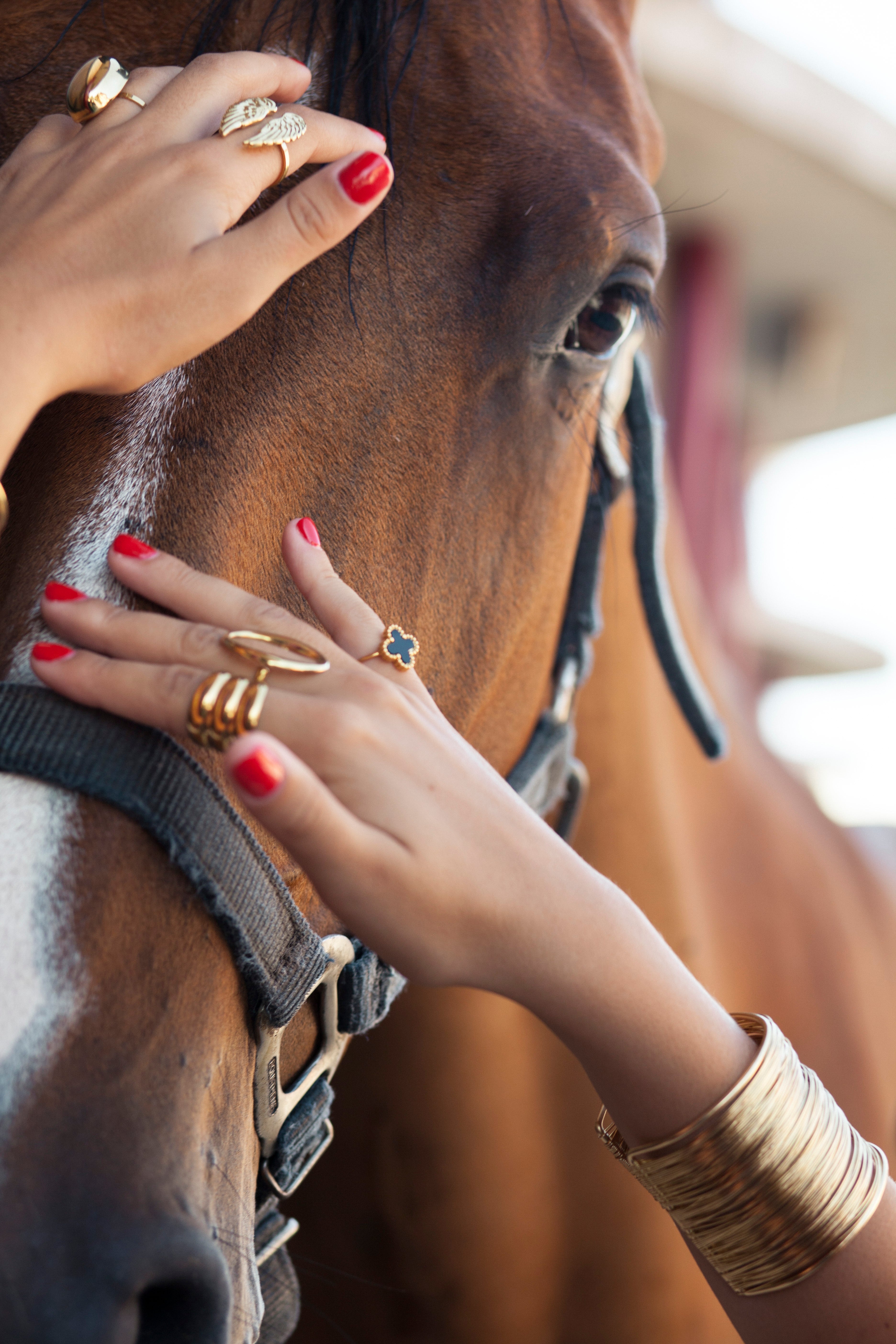 ANILLOS
