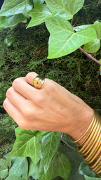 ANILLO PARIS