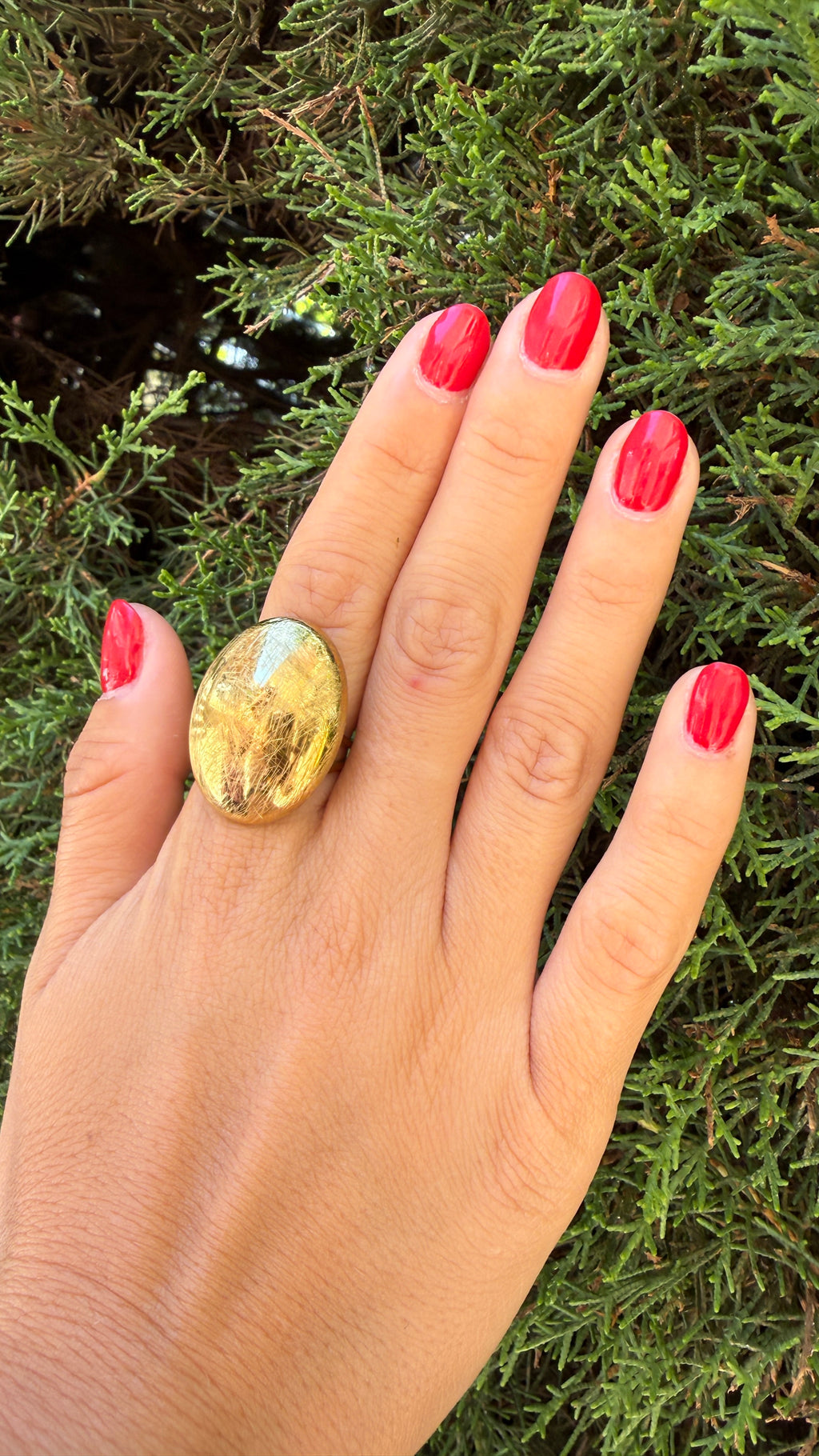 ANILLO RAY