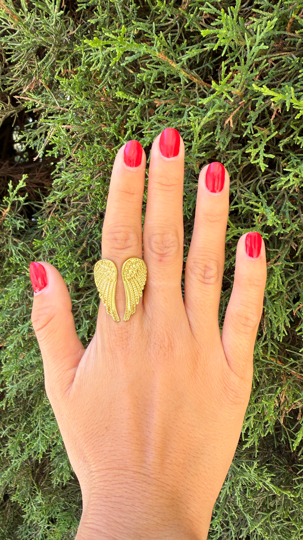 ANILLO ALAS