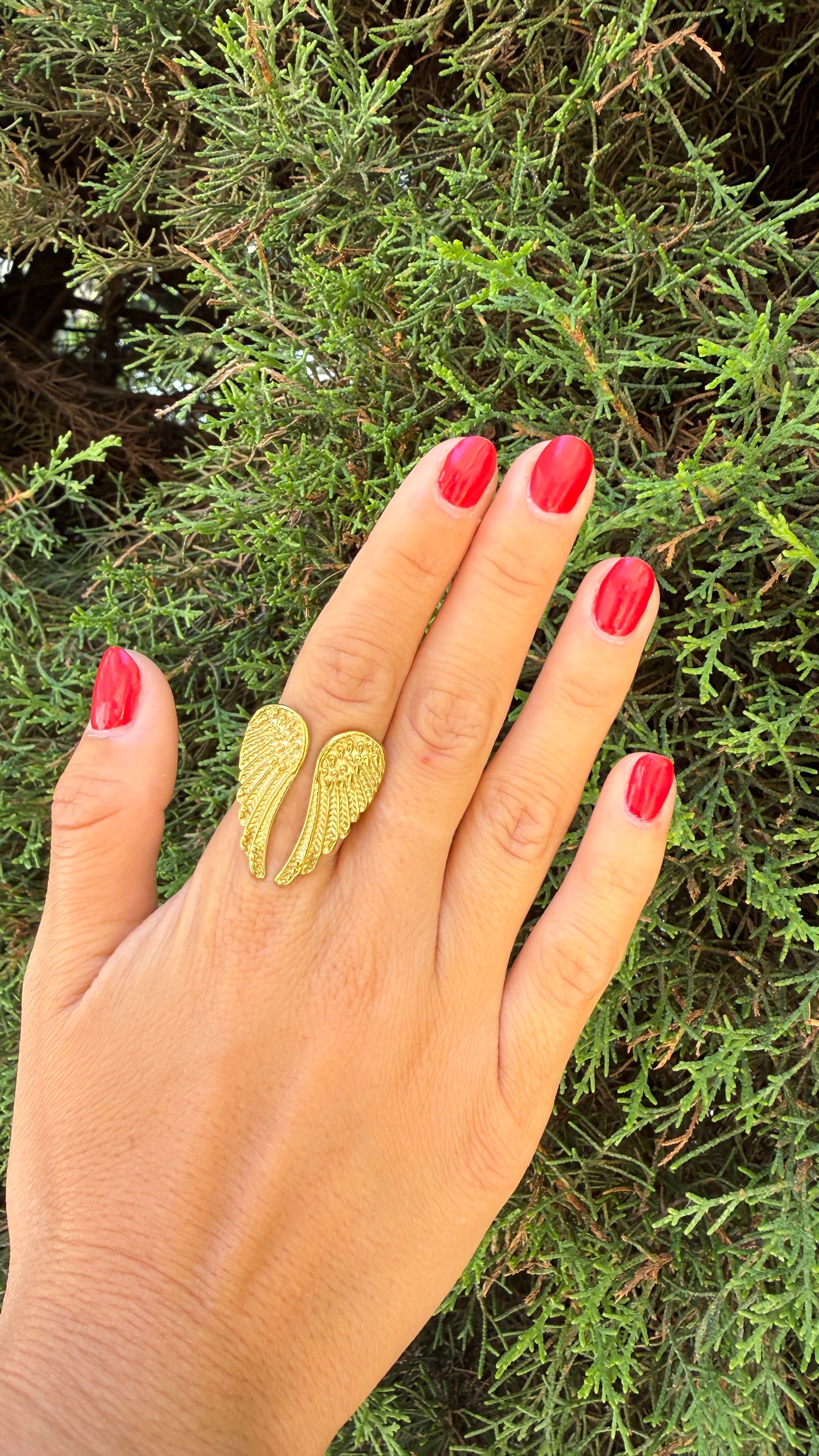 ANILLO ALAS