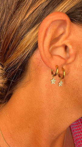 MINI CRIOLLA ESTRELLA CIRCONITAS