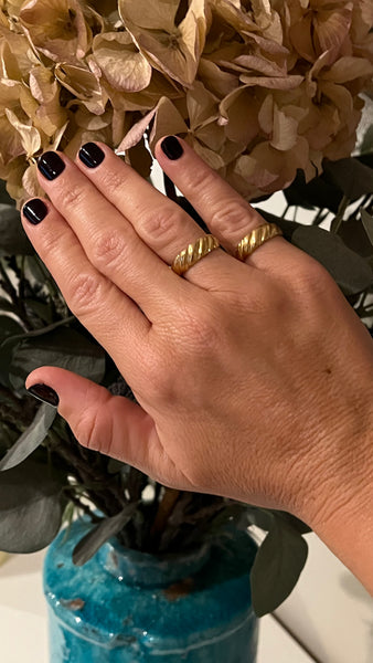 ANILLO MARIONA ENROLLADO