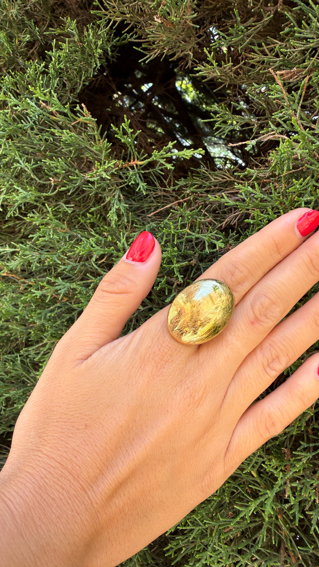 ANILLO RAY