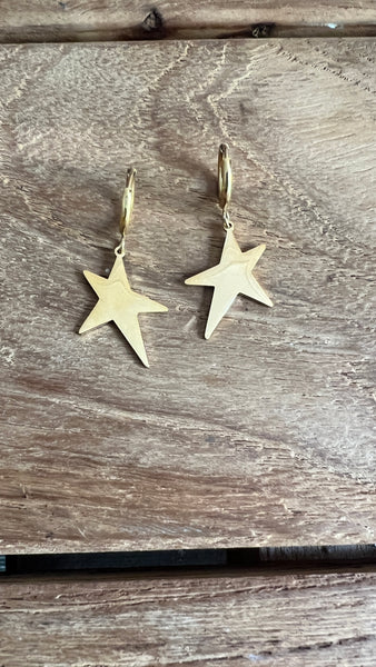 MINI CRIOLLA ESTRELLA LU