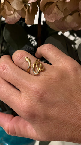 ANILLO SNAKE