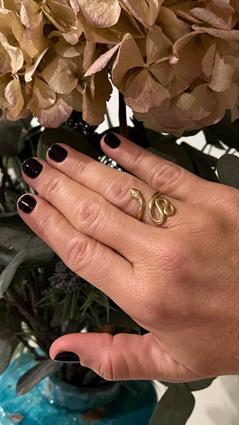 ANILLO SNAKE