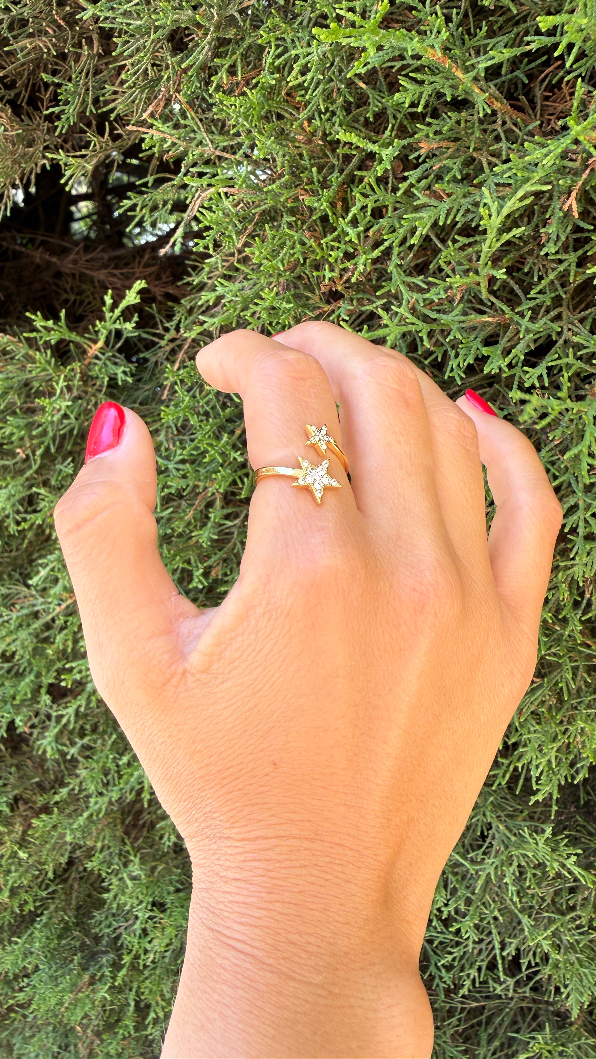 ANILLO DIPARMA
