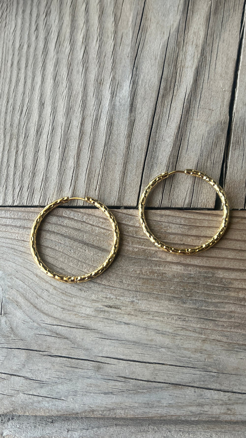AROS BERTA