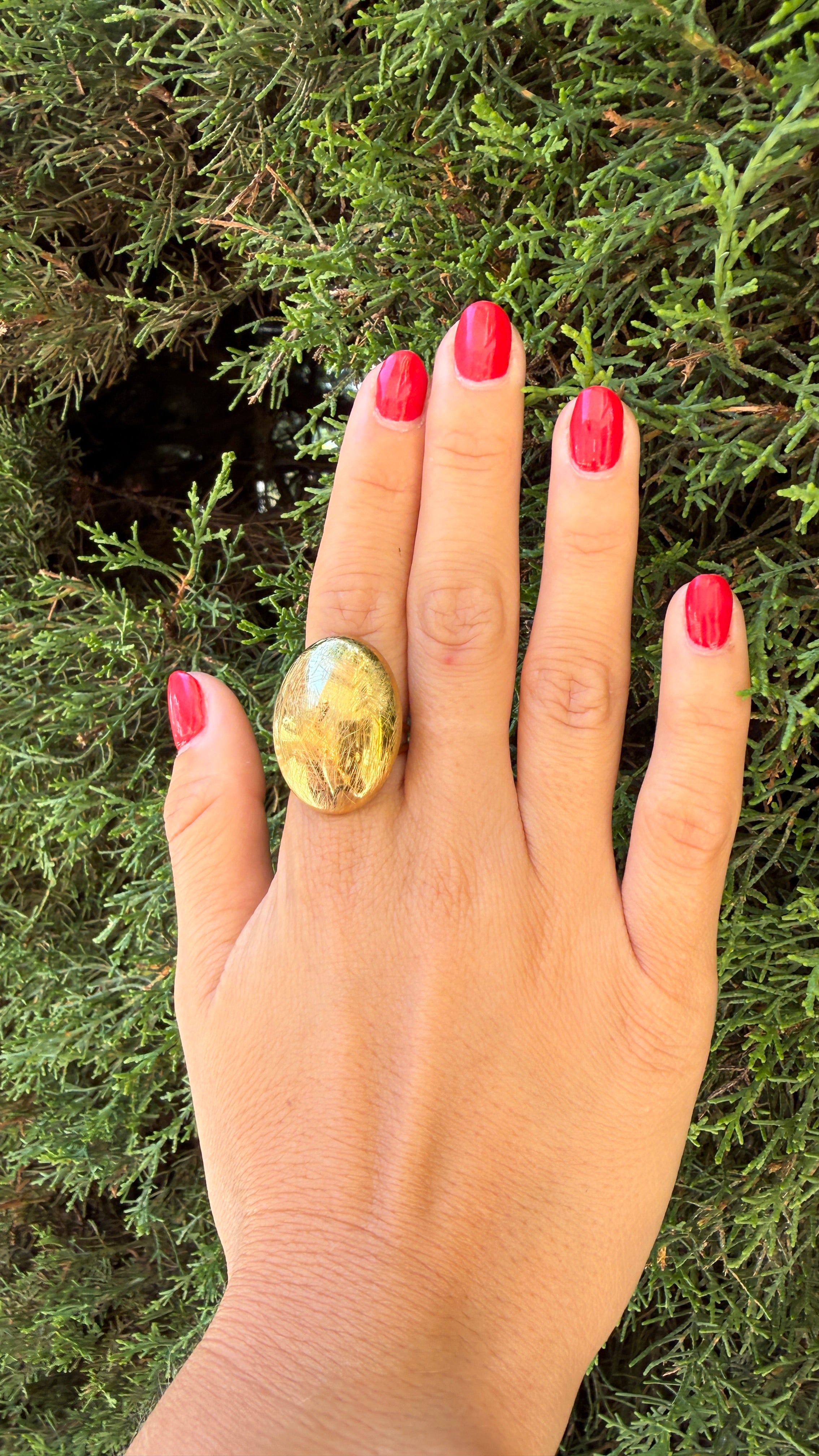 ANILLO RAY