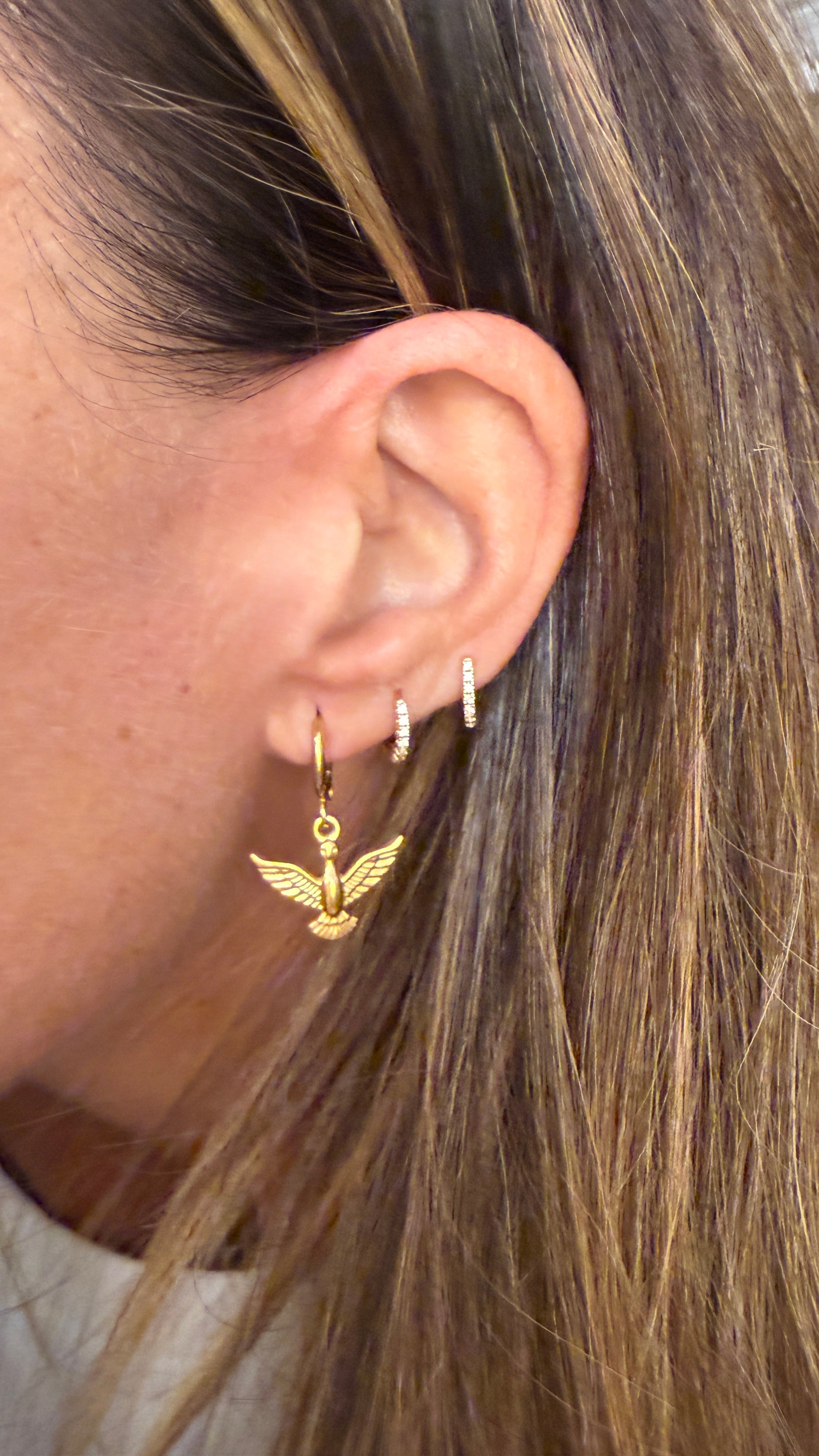 MINI CRIOLLA ÁGUILA