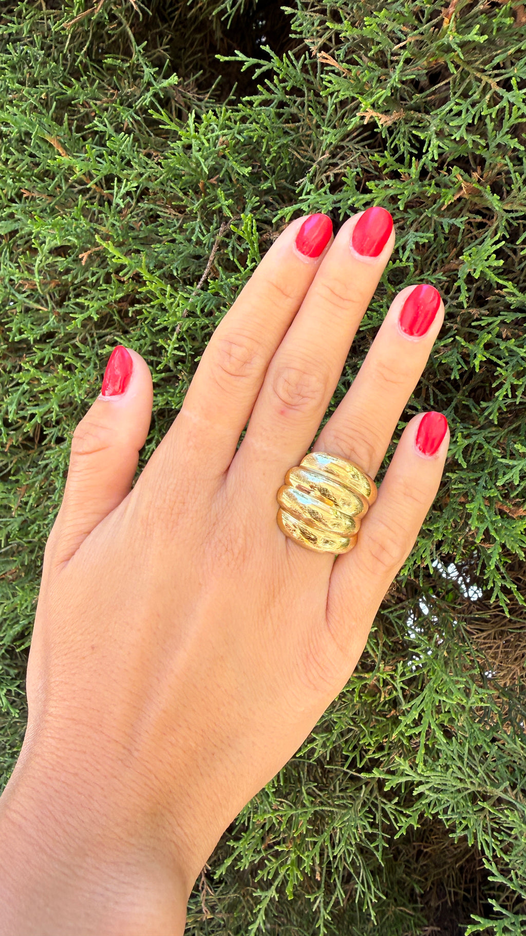 ANILLO  DANIELA