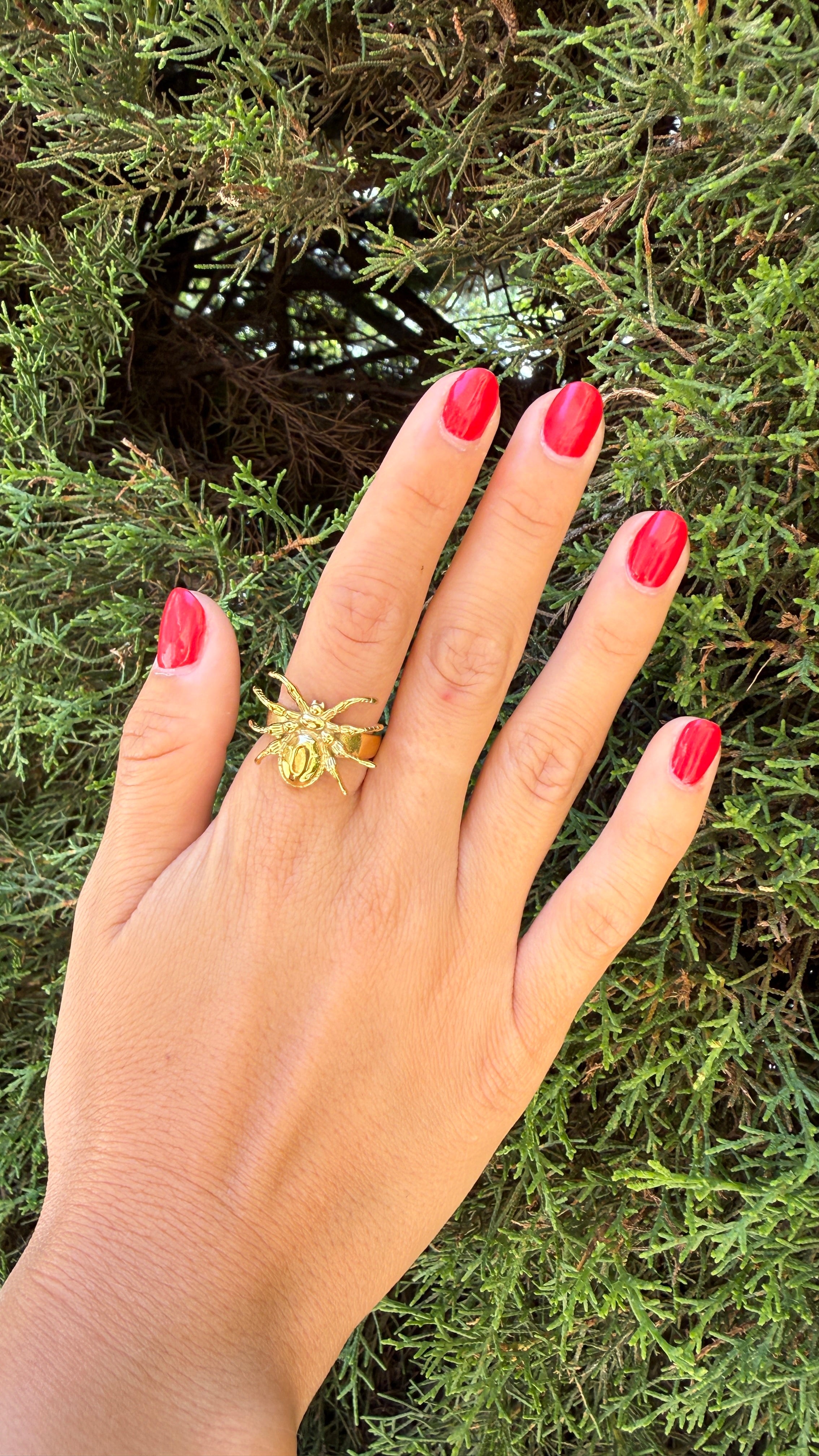 ANILLO SPIDER