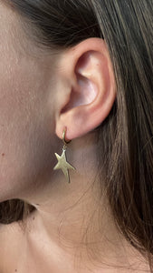 MINI CRIOLLA ESTRELLA LU