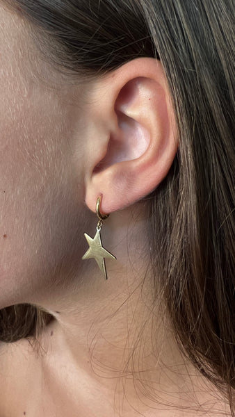 MINI CRIOLLA ESTRELLA LU