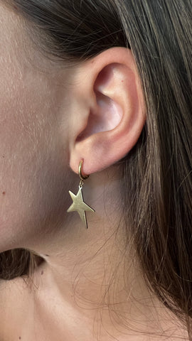 MINI CRIOLLA ESTRELLA LU