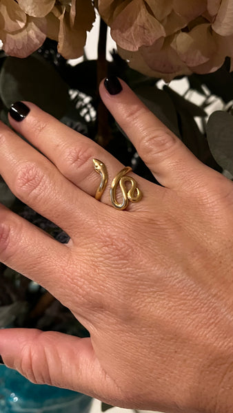 ANILLO SNAKE