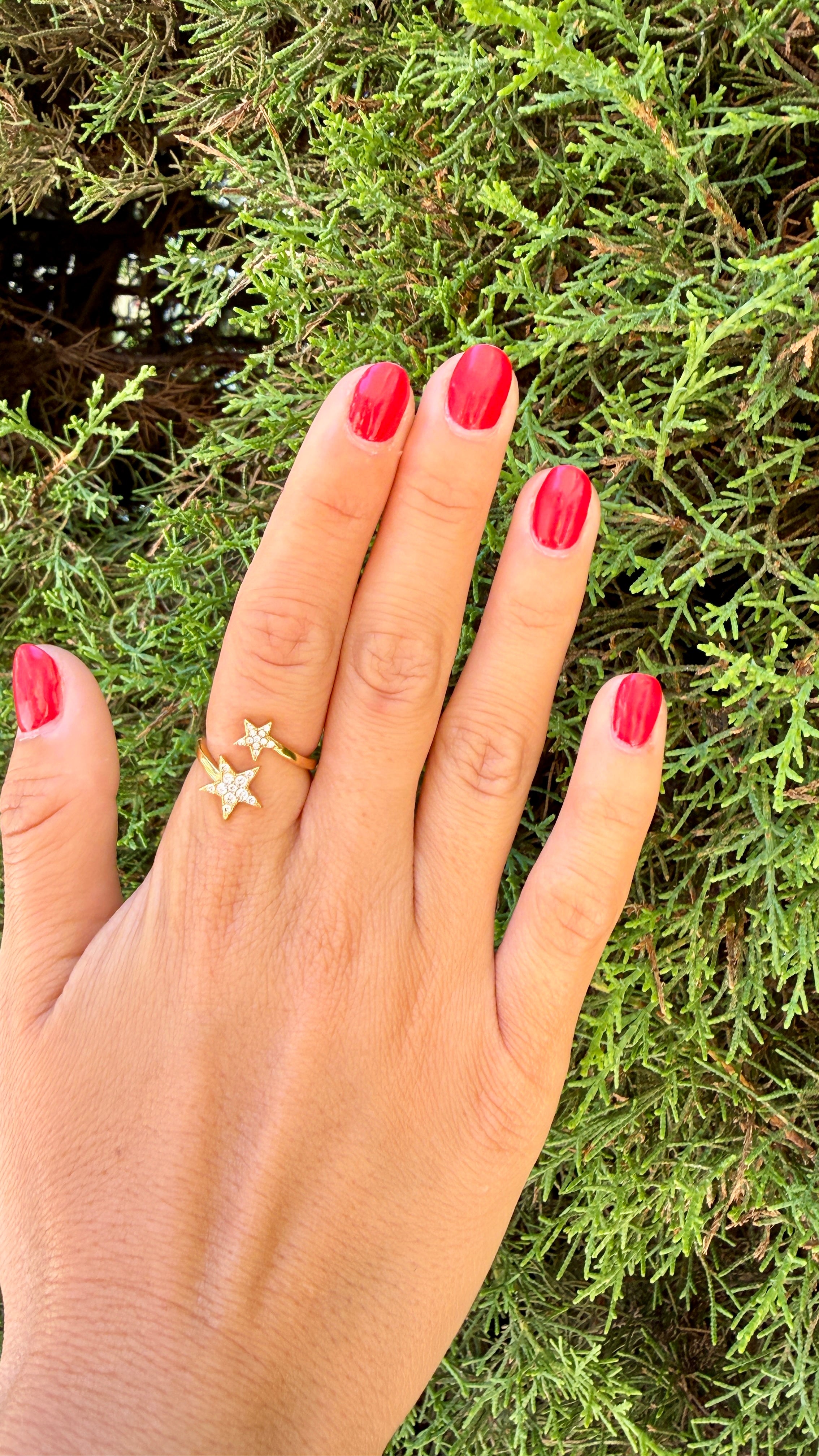 ANILLO DIPARMA