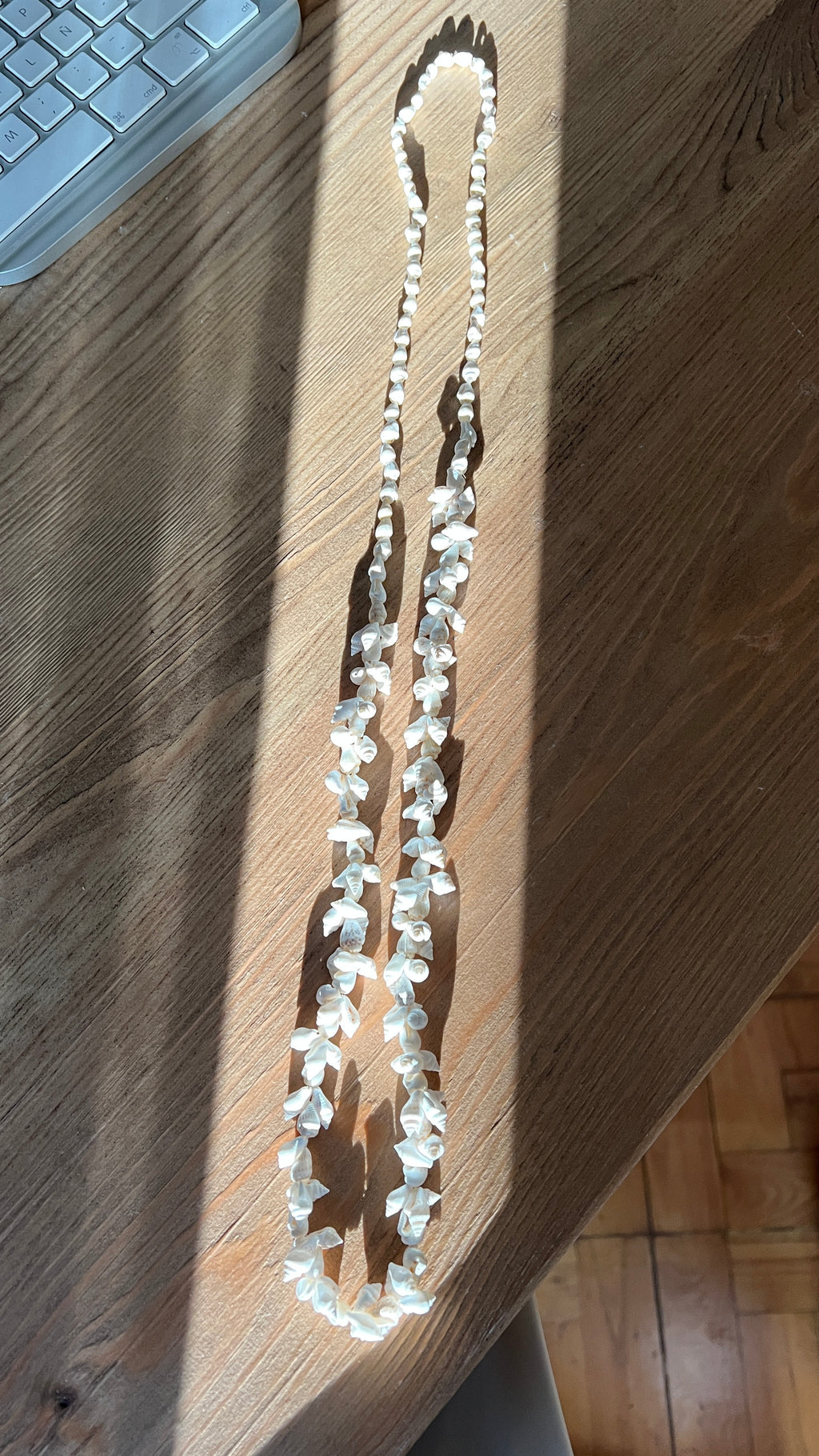 COLLAR LARGO CONCHAS