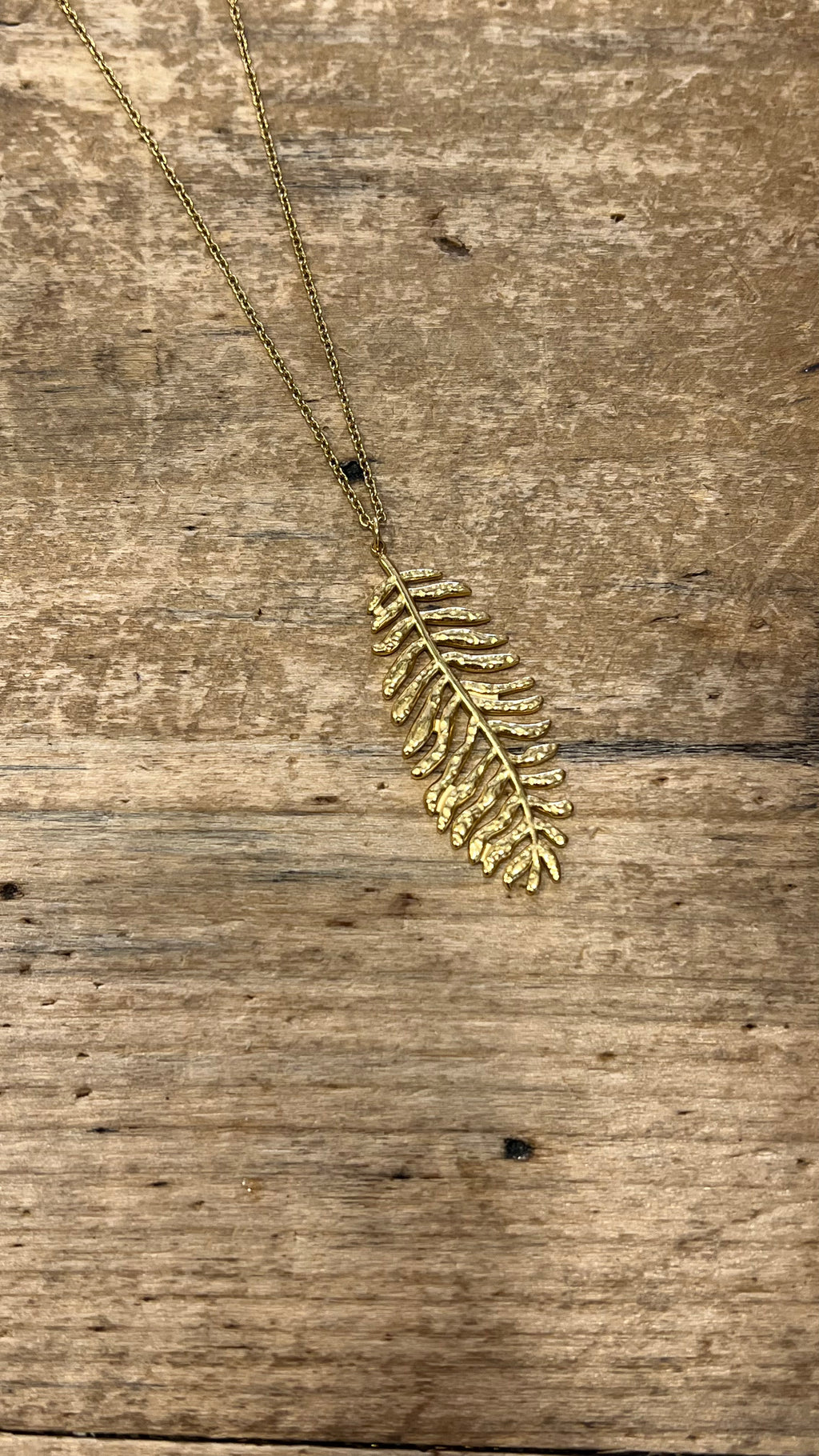 COLLAR FOLIE