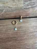 MINI CRIOLLA ESTRELLA CIRCONITAS