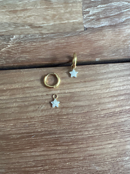 MINI CRIOLLA ESTRELLA CIRCONITAS