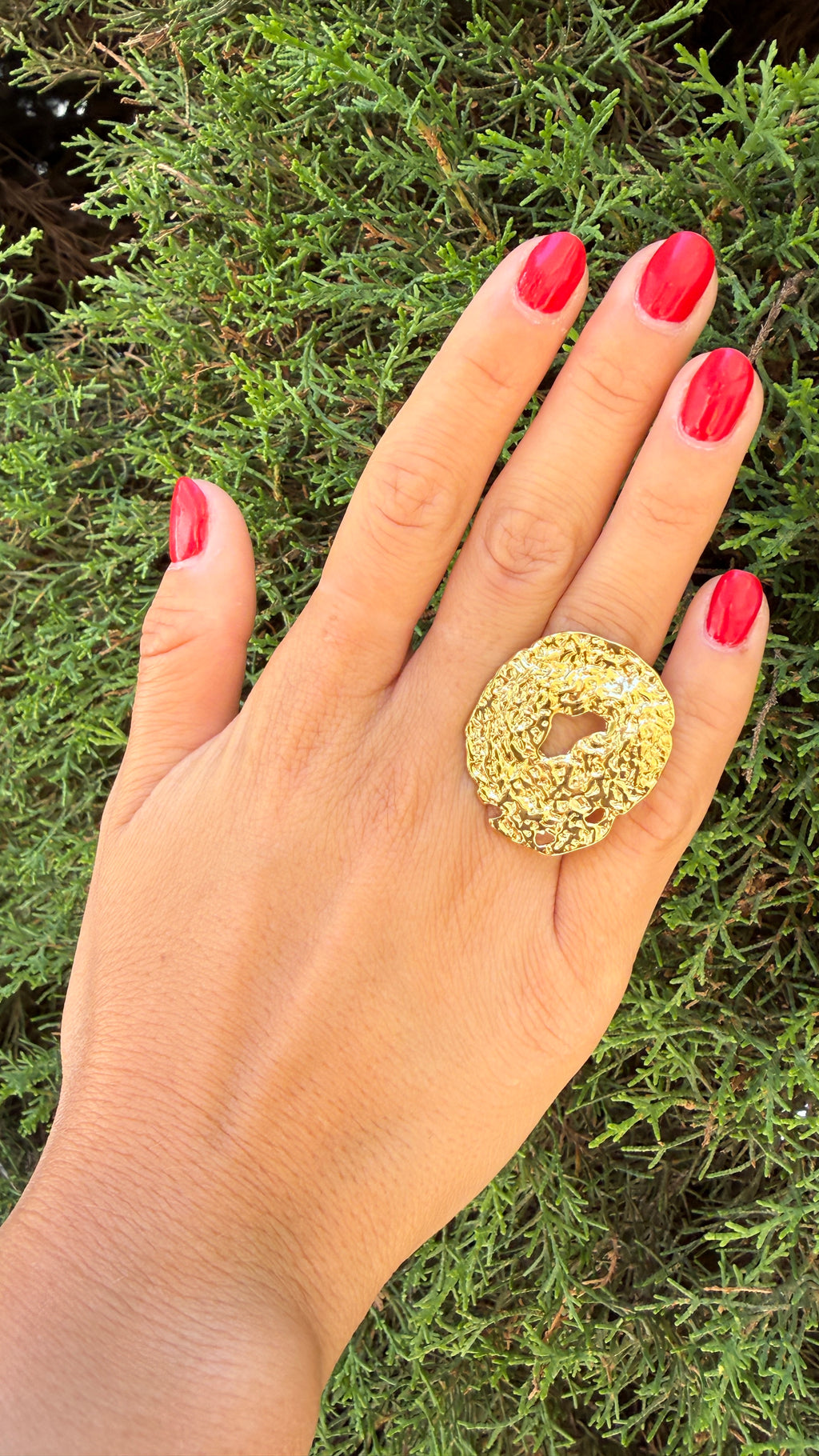 ANILLO ALEJANDRA