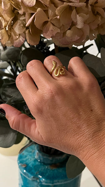 ANILLO SNAKE