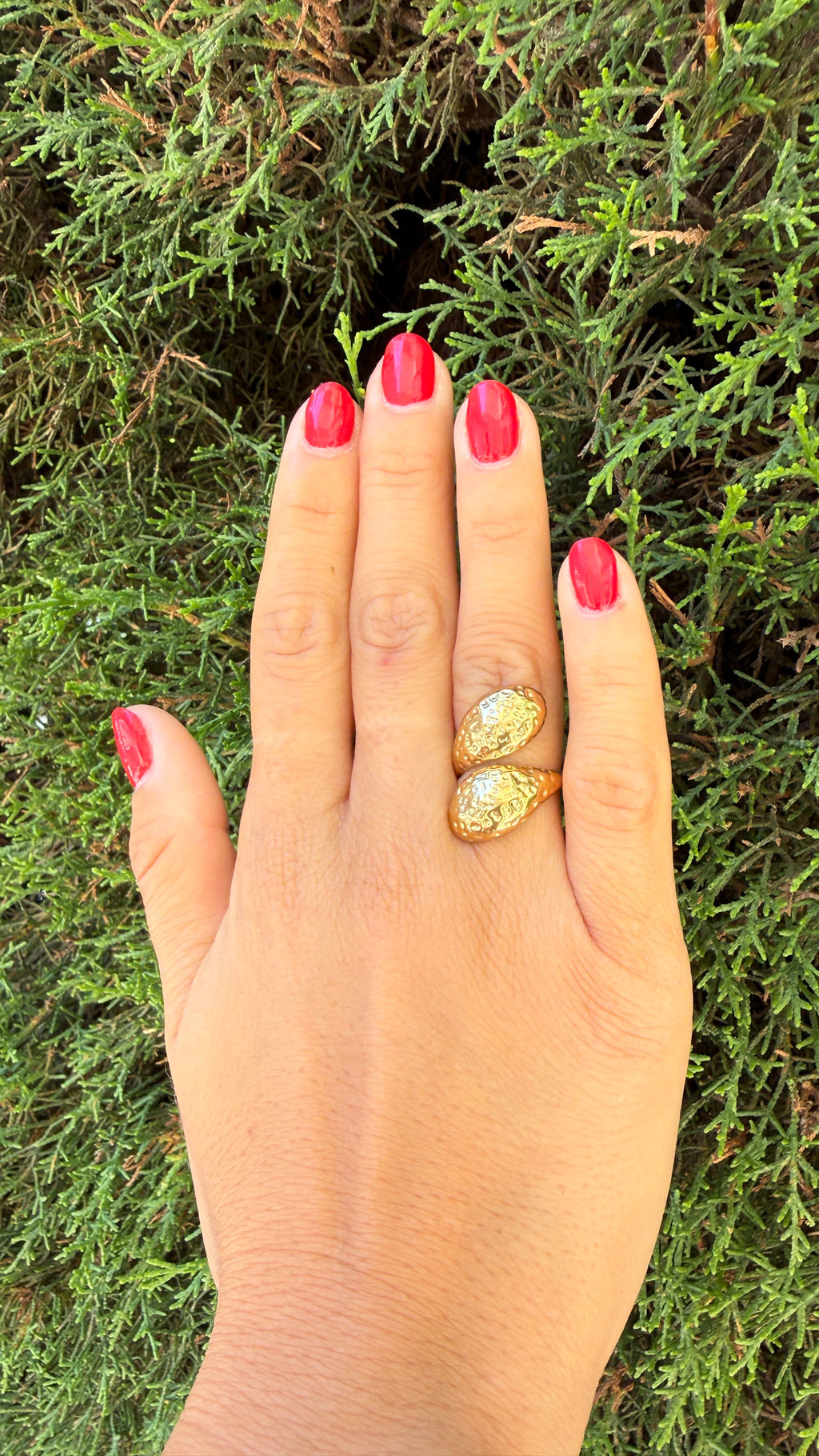ANILLO MARTA