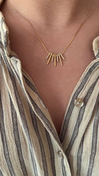 COLLAR RODEN