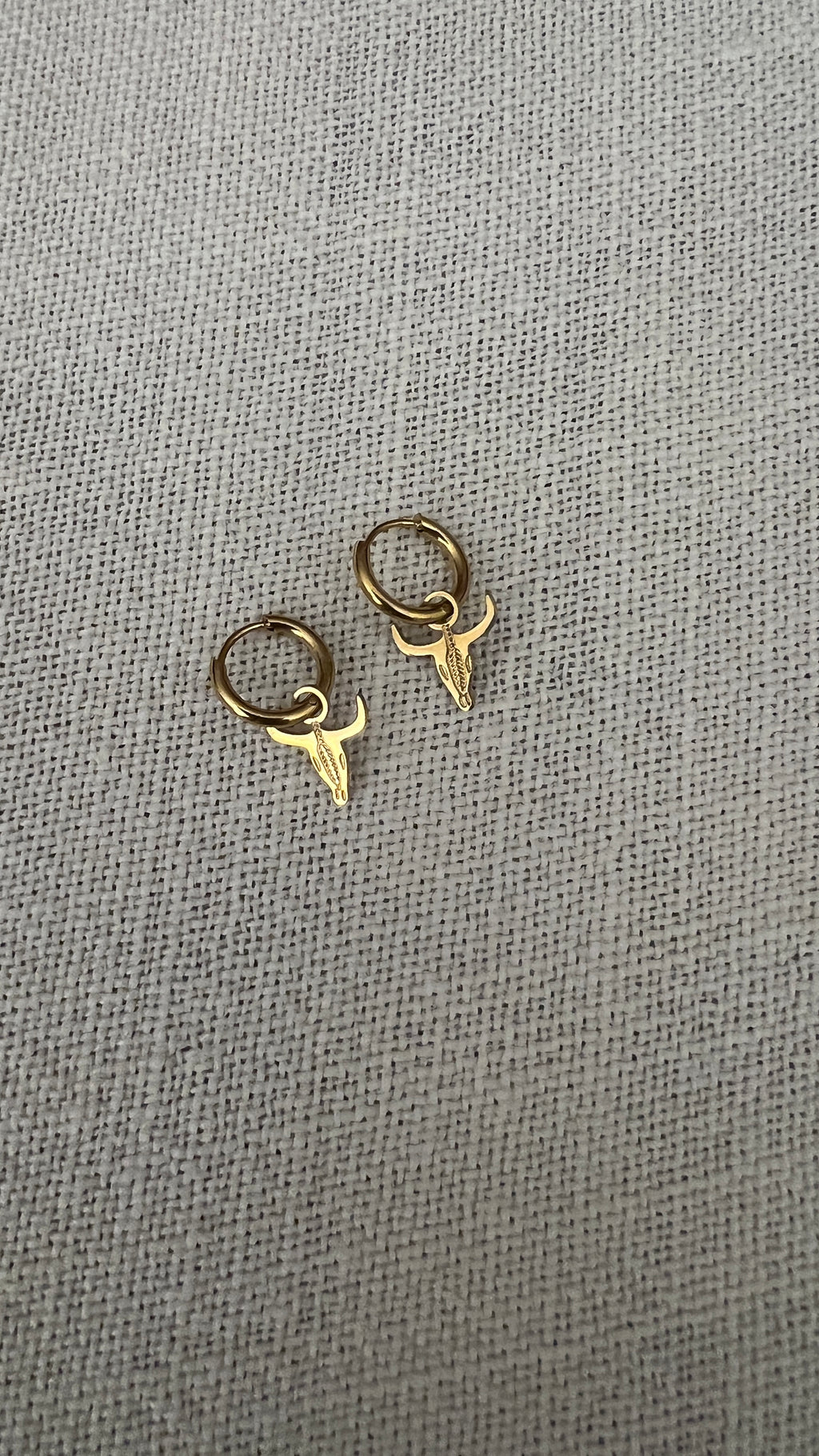 MINI CRIOLLA BUFALO