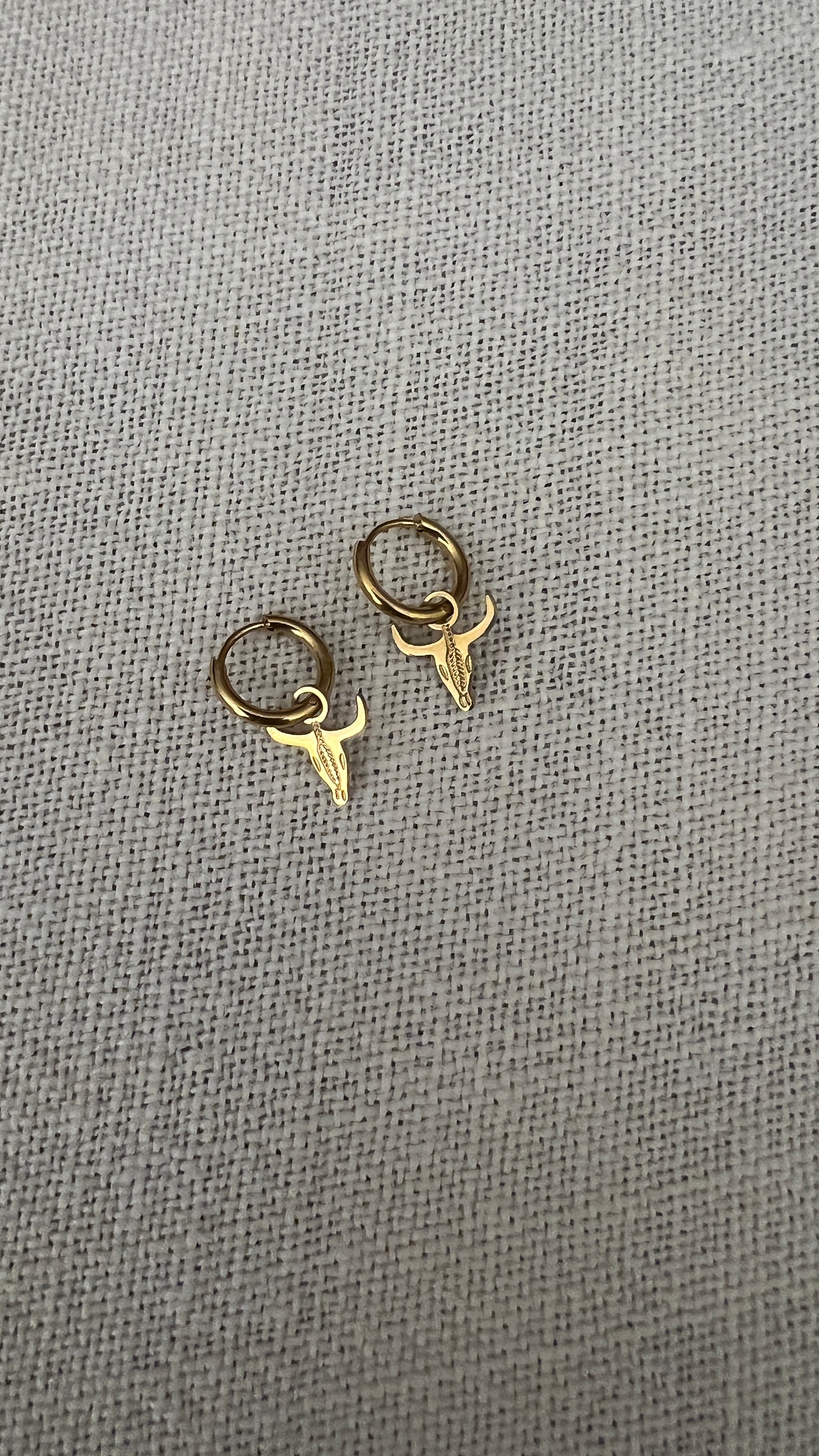 MINI CRIOLLA BUFALO