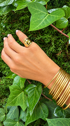 ANILLO PARIS