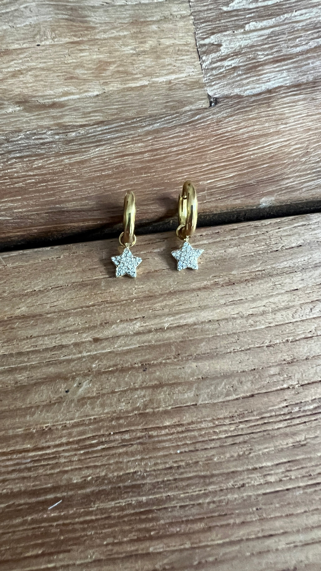 MINI CRIOLLA ESTRELLA CIRCONITAS