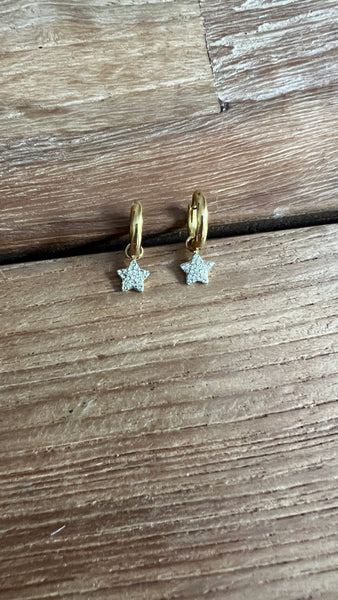 MINI CRIOLLA ESTRELLA CIRCONITAS