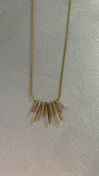 COLLAR RODEN