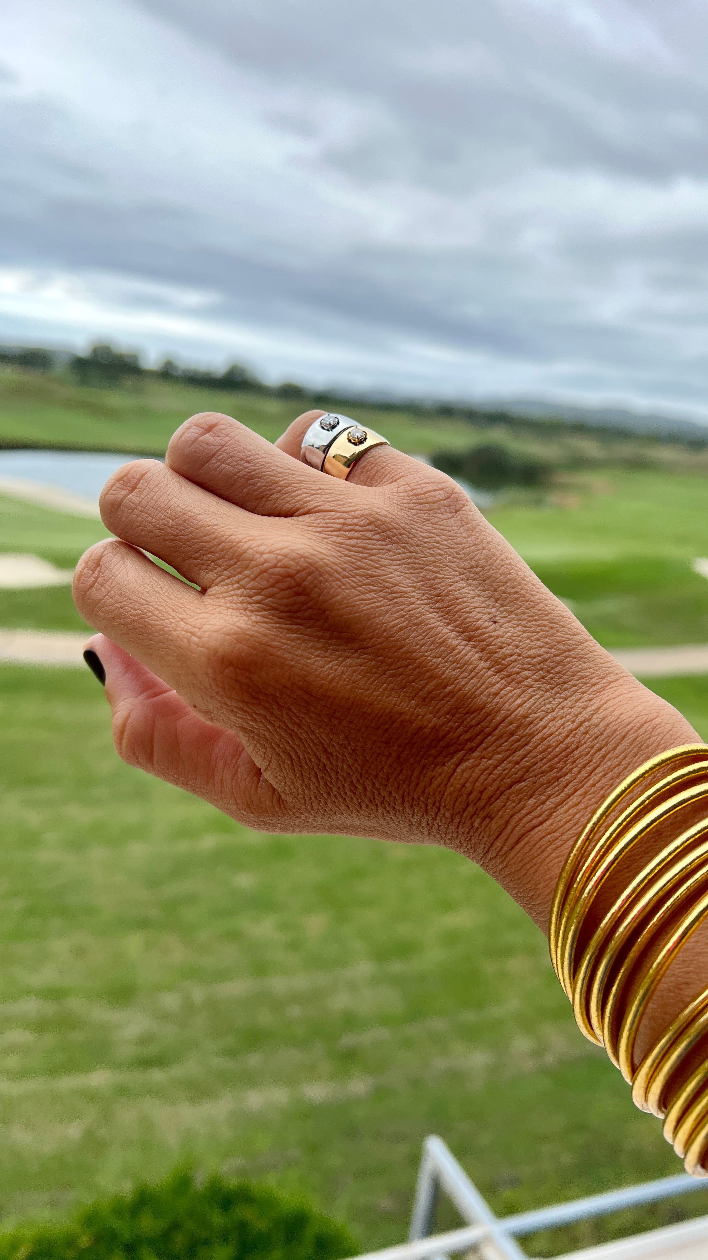 ANILLO MEÑIQUE