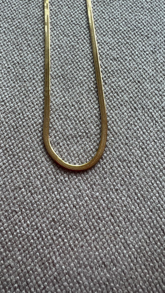 GARGANTILLA SNAKE