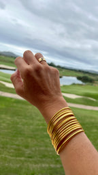 ANILLO MEÑIQUE