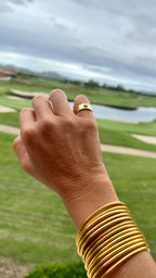 ANILLO MEÑIQUE