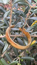 PULSERA ADRI