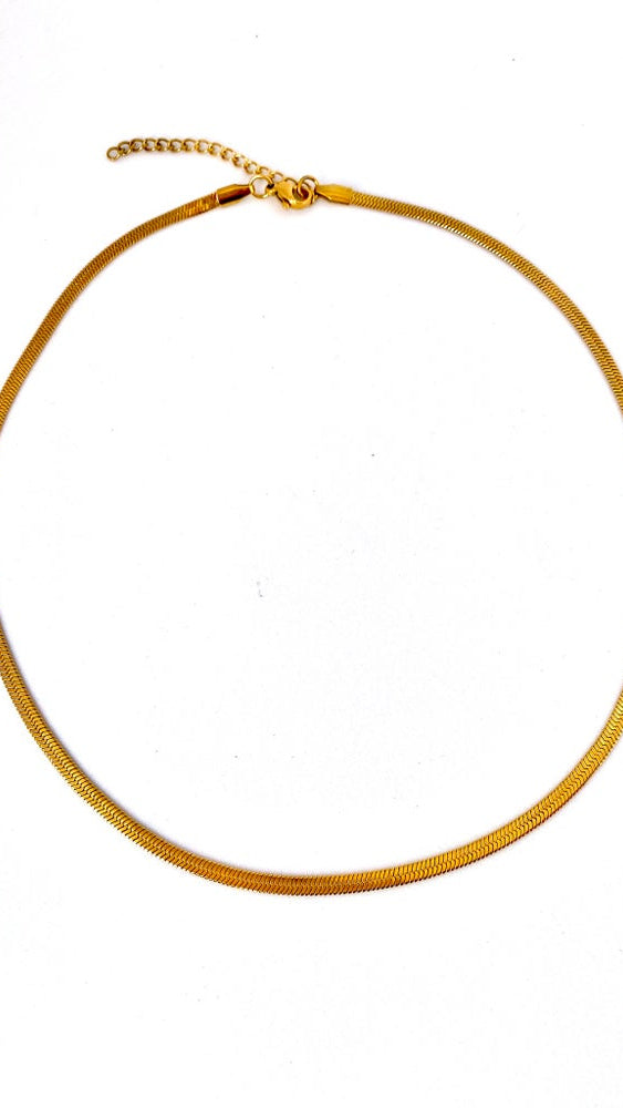 GARGANTILLA SNAKE