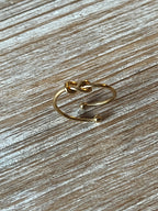 ANILLO NUDITO