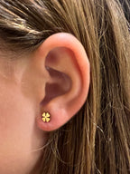 PENDIENTES TREBOL